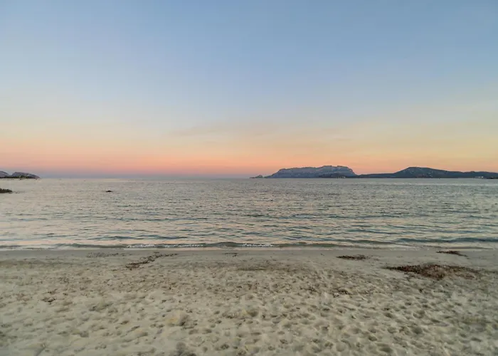 Belvedere 18 - 3 Shared Pool